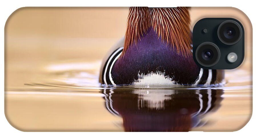 Stefano Ronchi iPhone Case featuring the photograph Mandarin Duck Drake Italy by Stefano Ronchi