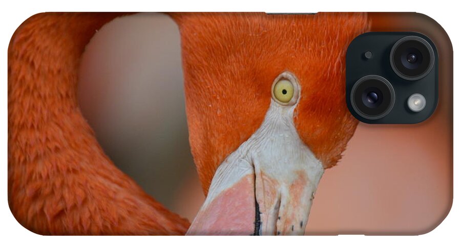 Flamingo iPhone Case featuring the photograph Mango Curves by Fraida Gutovich