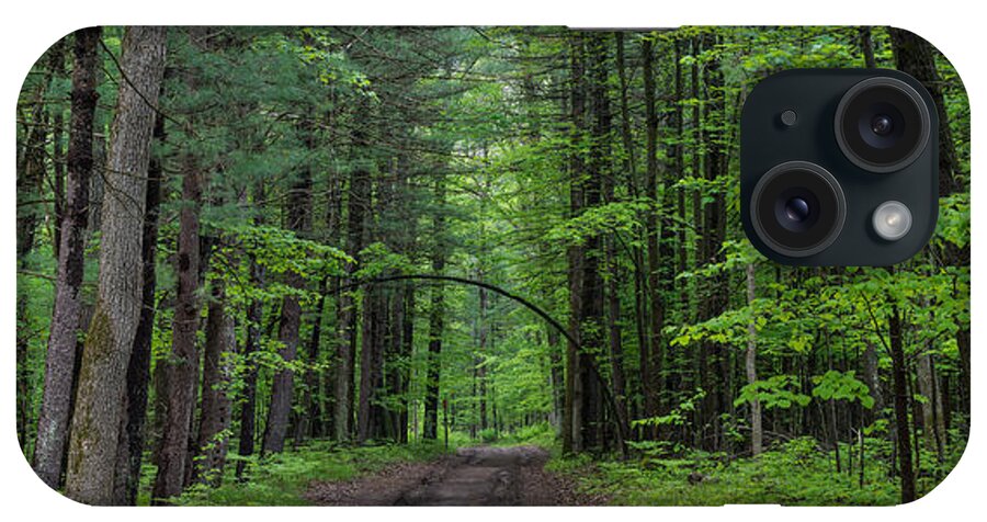 Tree iPhone Case featuring the photograph Manistee National Forest Michigan by Steve Gadomski