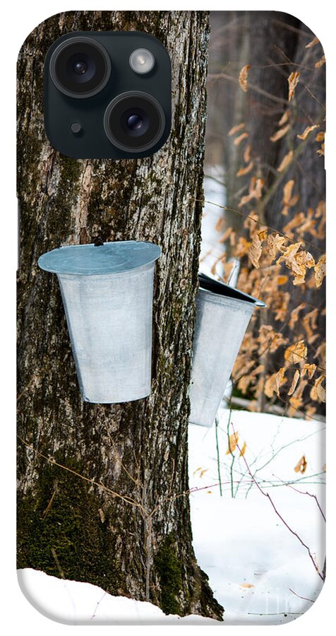 Landscape iPhone Case featuring the photograph Maple Sap Collection by Cheryl Baxter