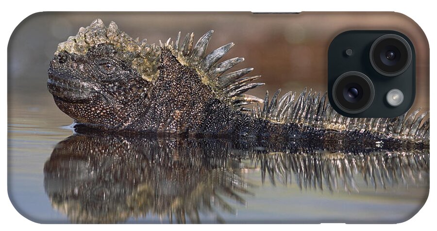 Feb0514 iPhone Case featuring the photograph Marine Iguana Resting In Tide Pool by Tui De Roy