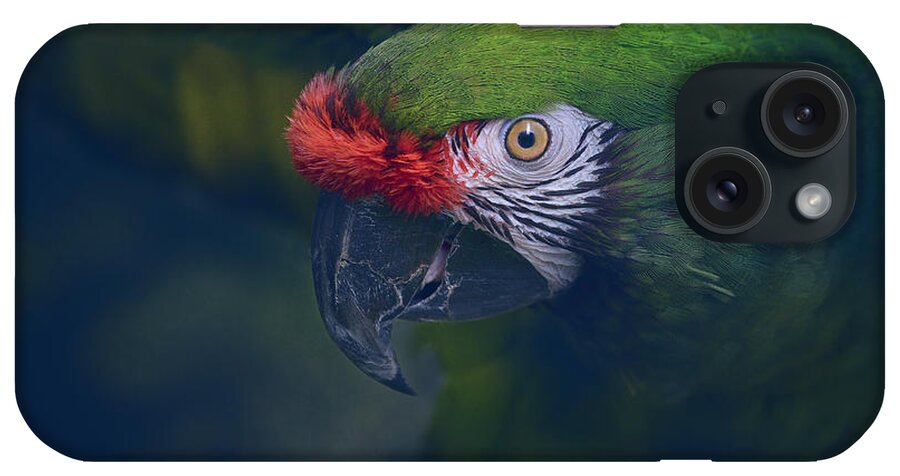 Parrots iPhone Case featuring the photograph Marlie 2 by Pat Abbott