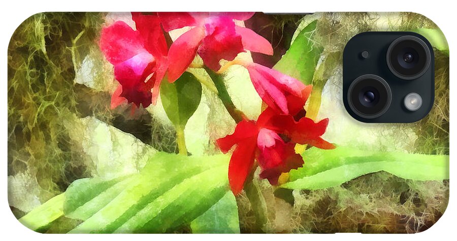 Cattleya iPhone Case featuring the photograph Maroon Cattleya Orchids by Susan Savad
