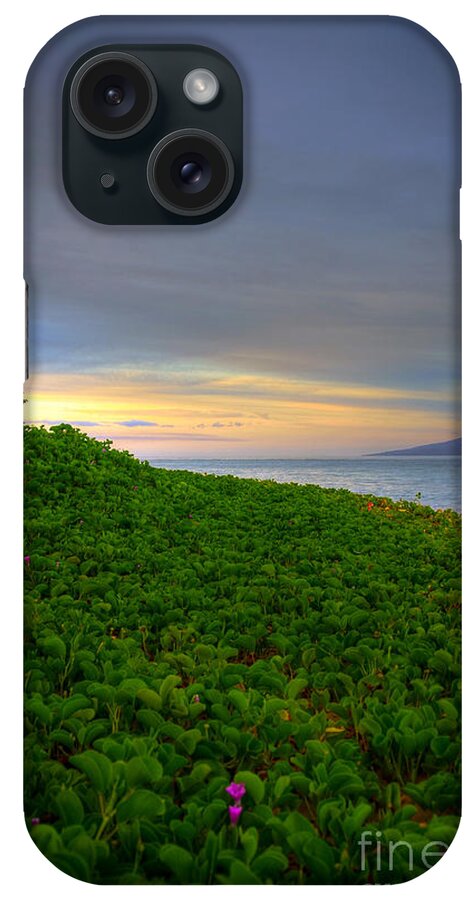 Maui Morning iPhone Case featuring the photograph Maui Morning by Kelly Wade