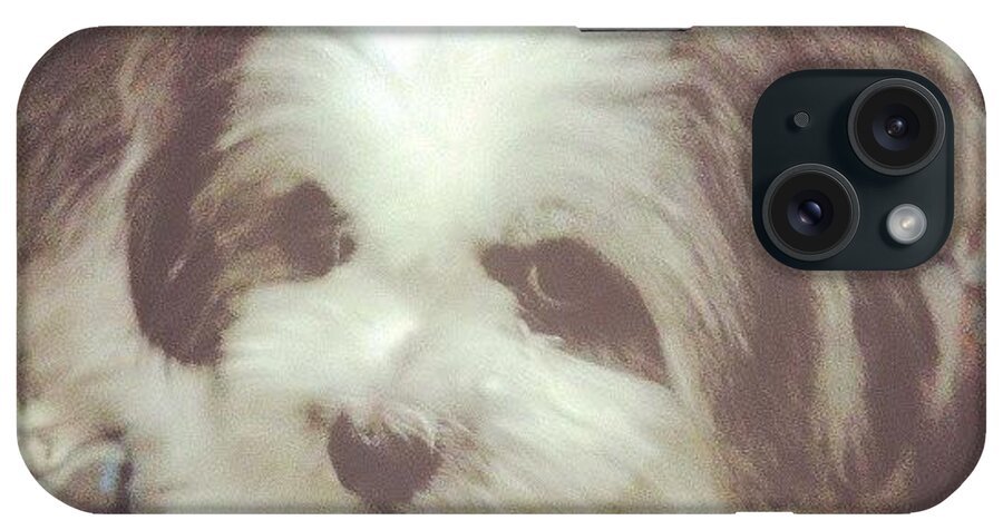 Cute iPhone Case featuring the photograph Maxine by Oscar Del Mundo