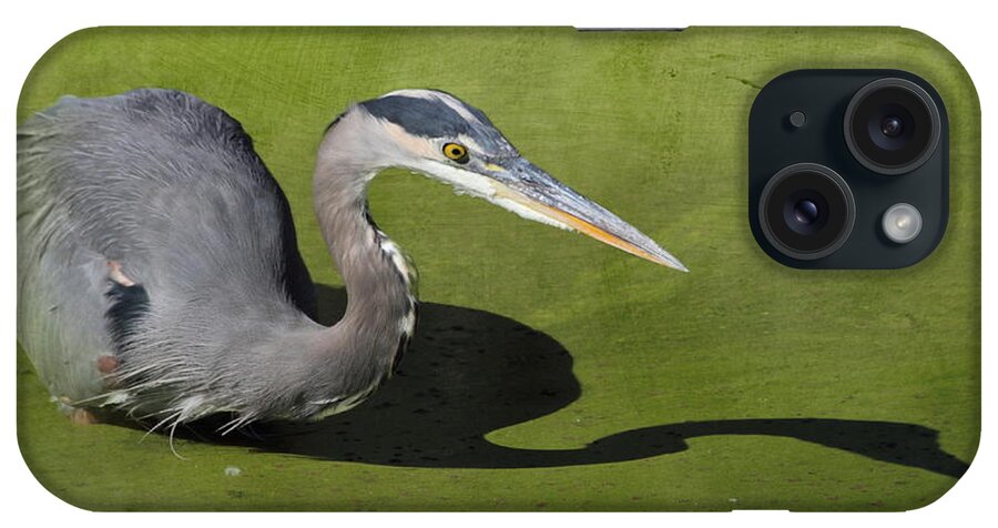 Heron iPhone Case featuring the photograph Me and My Shadow by Angie Vogel