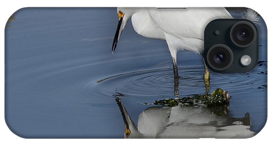 Snowy Egret And Shadow iPhone Case featuring the photograph Me and My Shadow by Joe Granita