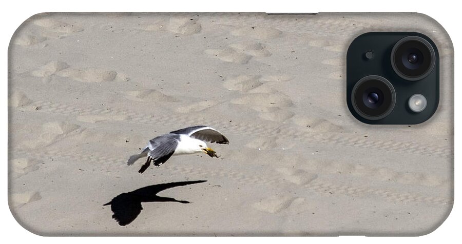 Birds Animals Wildlife Seagull iPhone Case featuring the photograph Me and my shadow by Paul Ross