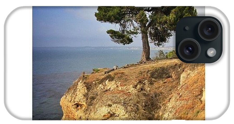 Instanaturelover iPhone Case featuring the photograph Meditation Tree | Palos Verdes by Tyler Rice