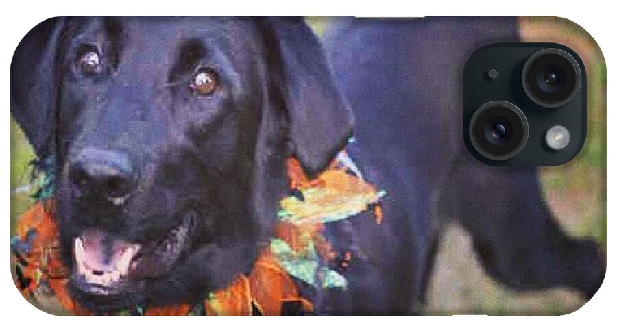  iPhone Case featuring the photograph Meet Our Pet Of The Week, Smiley. Look by Things To Do In Austin Texas