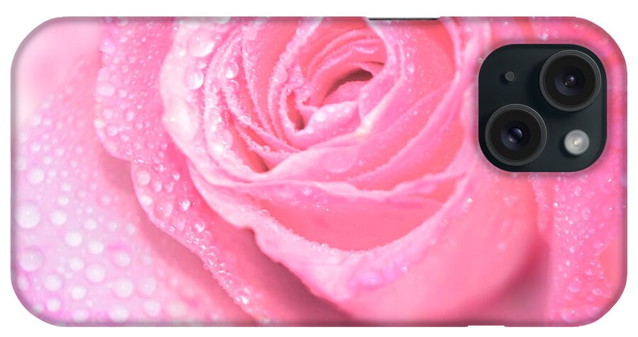 Pink Rose iPhone Case featuring the photograph Melting in Pink by Olga Hamilton