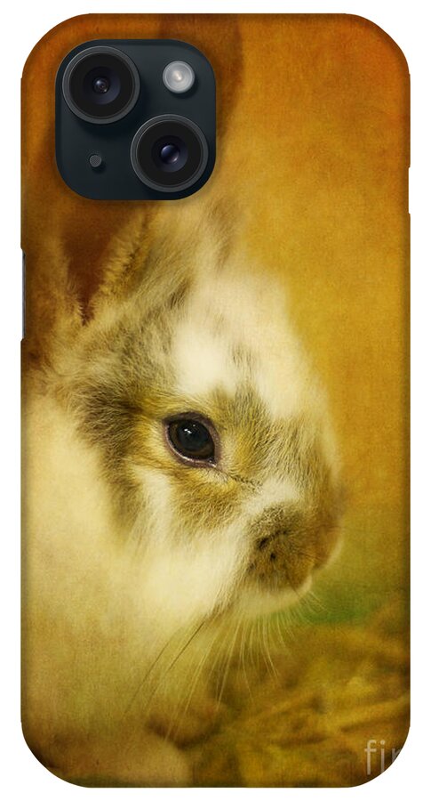 Rabbit iPhone Case featuring the photograph Memories of Watership Down by Lois Bryan