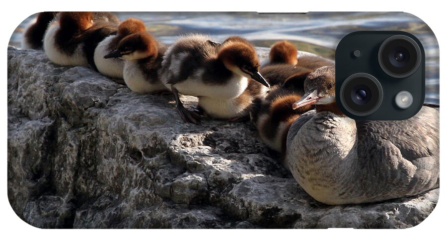 Merganser iPhone Case featuring the photograph Merganser Family by Jackson Pearson