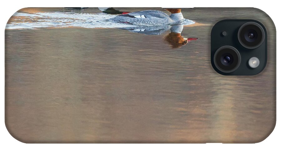 Reflection iPhone Case featuring the photograph Merganser Morning Square by Bill Wakeley