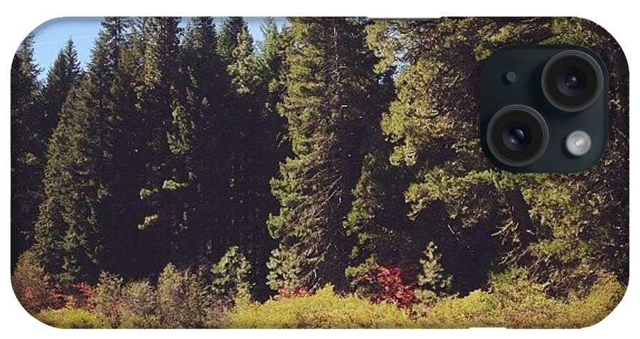  iPhone Case featuring the photograph Metolius River by Megan Lacy