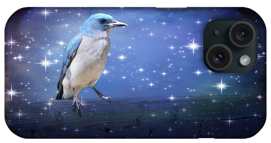 Birds iPhone Case featuring the photograph Mexican Blue Jay by Barbara Manis