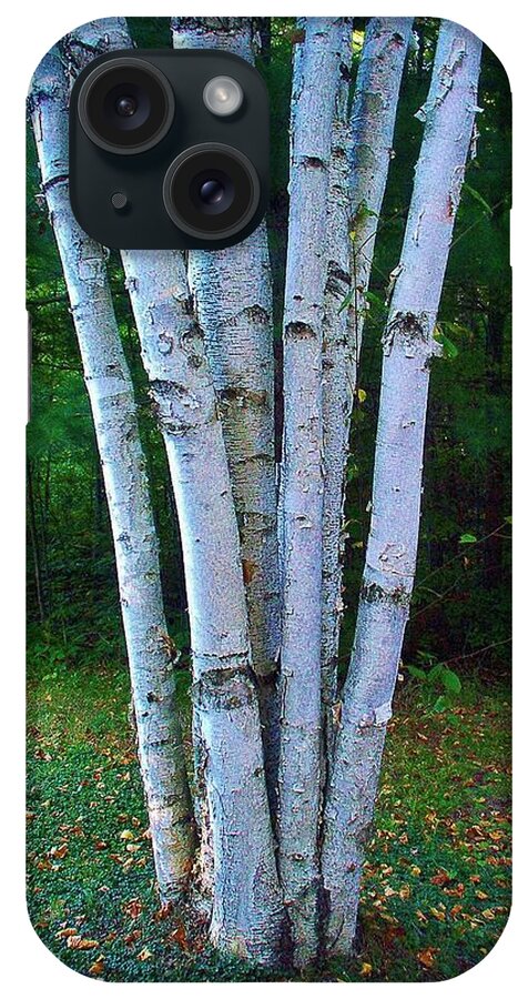Birch Trees iPhone Case featuring the photograph Micro-grove by Daniel Thompson