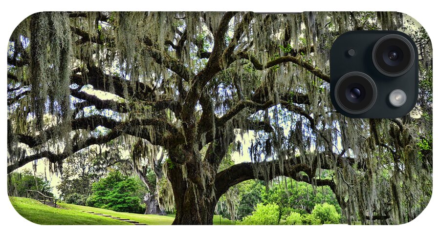 Forest iPhone Case featuring the photograph Middleton Place Oak by Allen Beatty