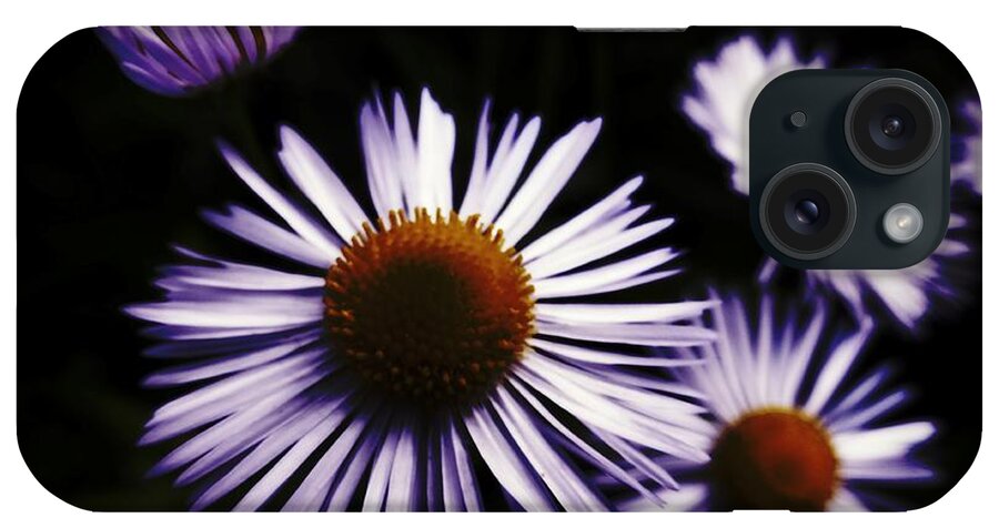Midnight Daisy iPhone Case featuring the photograph Midnight Daisy by Kasia Bitner