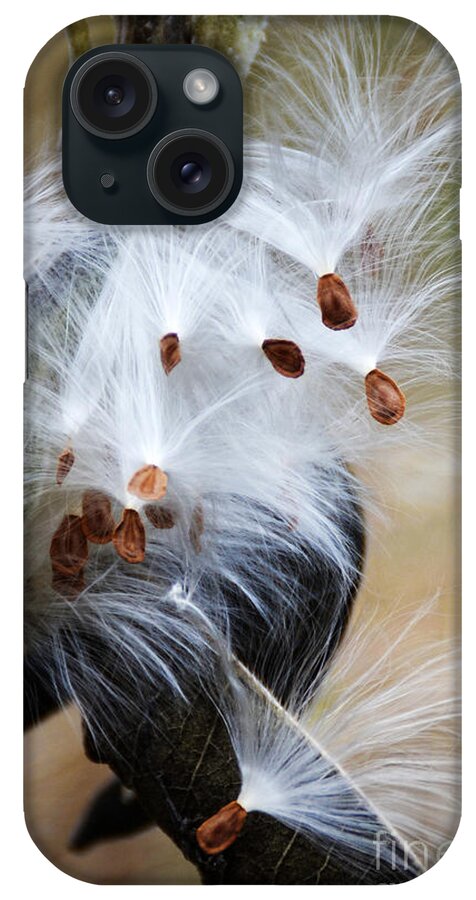 Monarch iPhone Case featuring the photograph Milkweed Pod by Norma Warden