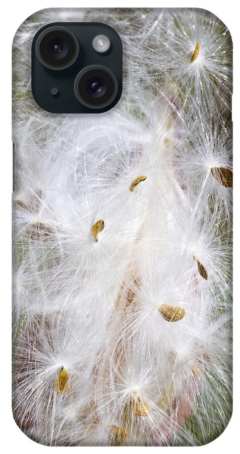 Milkweed iPhone Case featuring the photograph Milkweed Seeds and Fluff by Steven Schwartzman