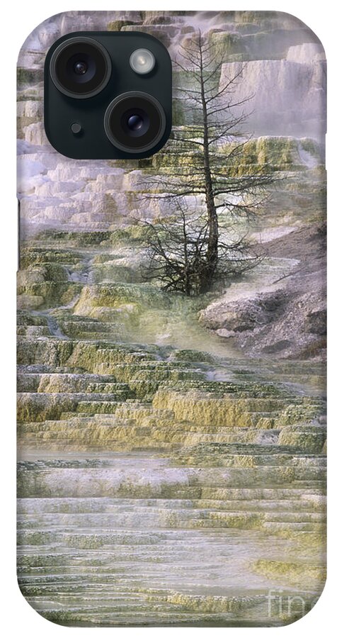 North America iPhone Case featuring the photograph Minerva Springs Terraces Yellowstone National Park by Dave Welling