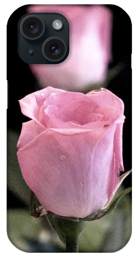 Roses iPhone Case featuring the photograph Mirror Image by Angela Davies