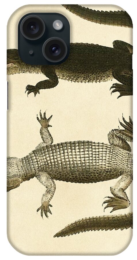 Mississippi iPhone Case featuring the drawing Mississippi Alligator by Pati Photography
