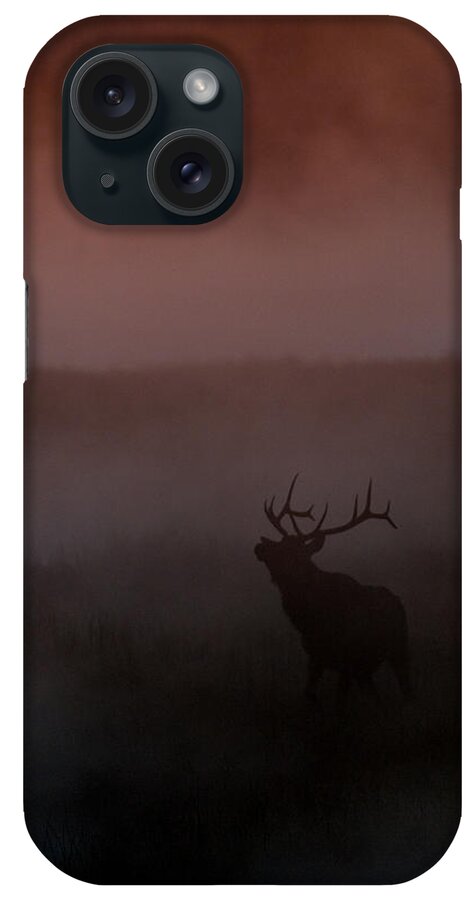  Bull iPhone Case featuring the photograph Misty Morning Elk by Gary Langley