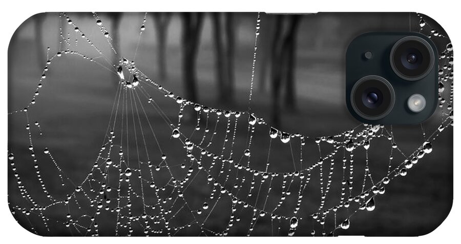 Mist iPhone Case featuring the photograph Misty Morning by James Woody