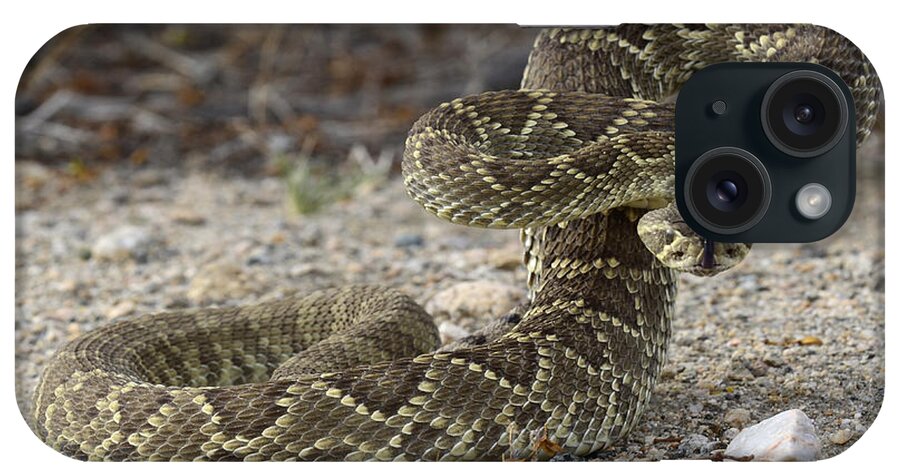 Mojave iPhone Case featuring the photograph Mojave Green Rattlesnake Ready And Willing by Bob Christopher