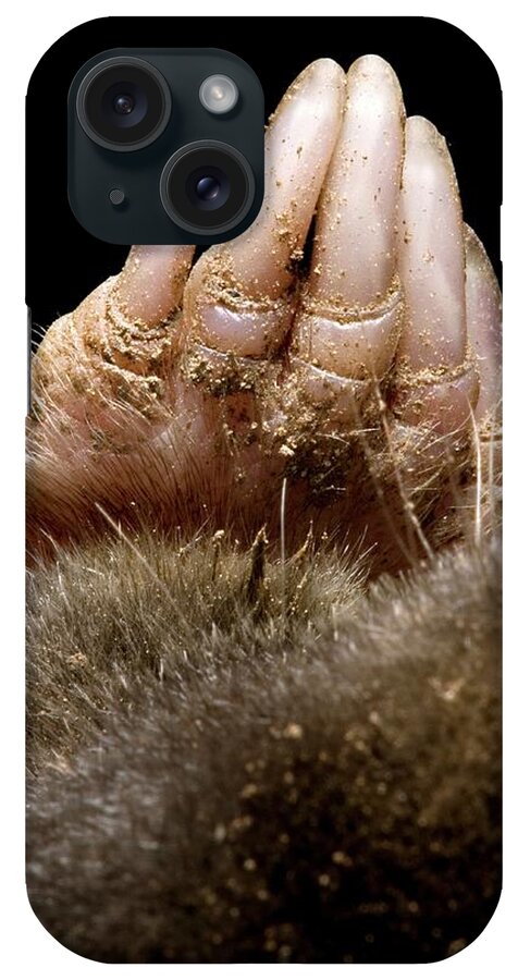 Animal iPhone Case featuring the photograph Mole Forepaw by Tim Vernon / Science Photo Library