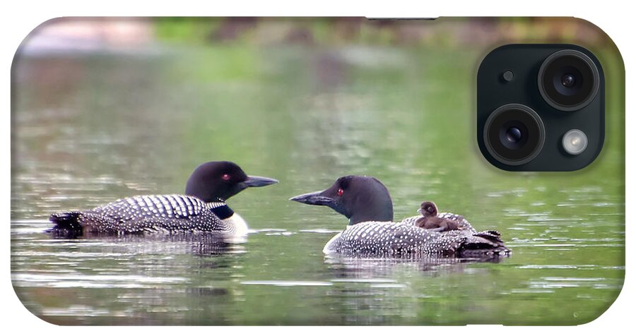 Loon iPhone Case featuring the photograph Mom and Dad Loon with Baby on Back by Donna Doherty