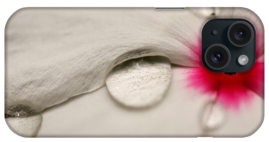  Vinca Rosea iPhone Case featuring the photograph Mom's Garden Macro Periwinkle by SCB Captures
