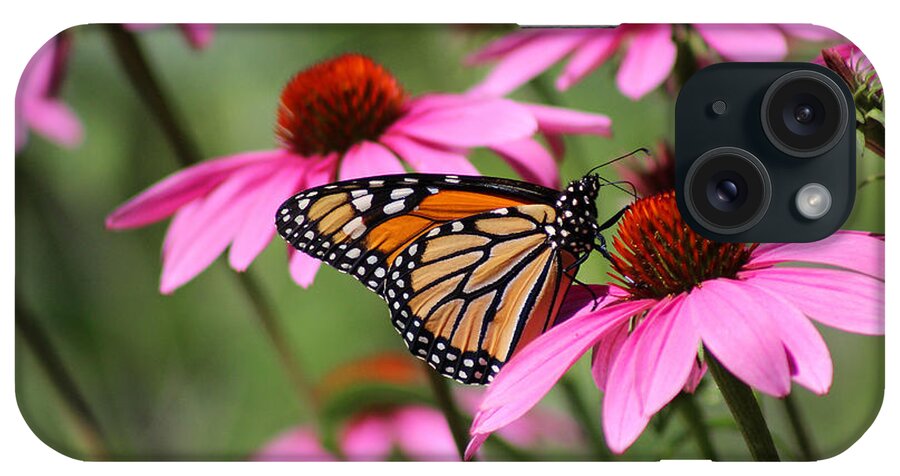 Monarch iPhone Case featuring the photograph Monarch and Conflowers by Karen Adams