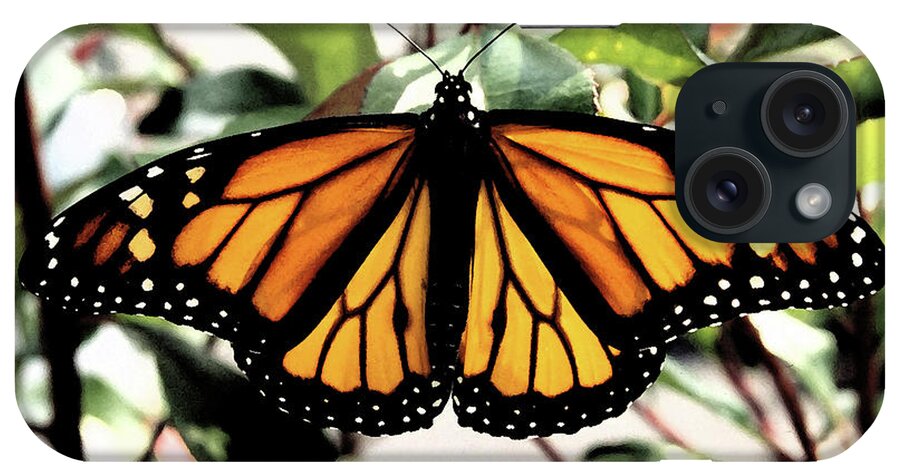 Monarch iPhone Case featuring the photograph Monarch Beauty by Denise Beverly