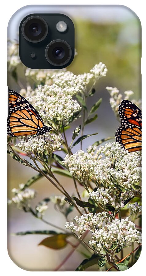 Danaus iPhone Case featuring the photograph Monarch Beauty by Patrick Wolf