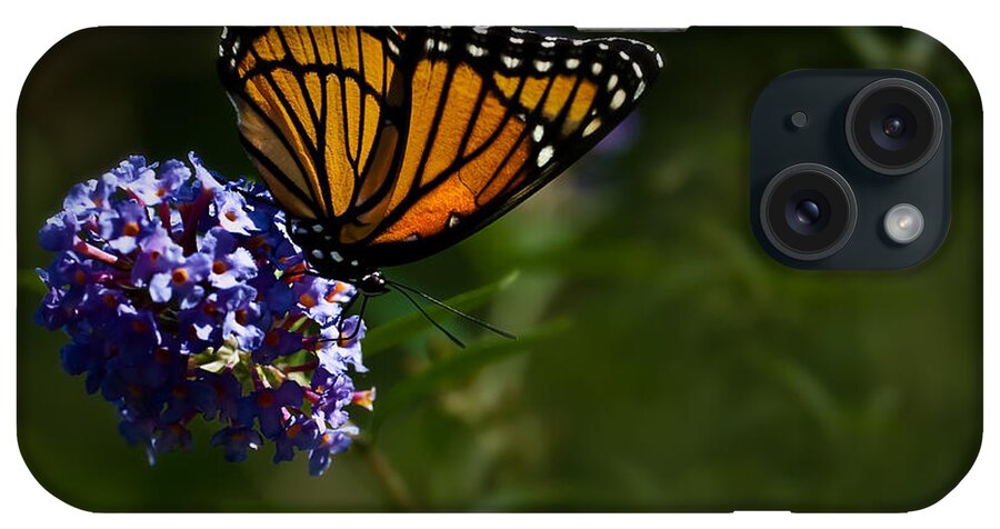 Monarch Butterfly iPhone Case featuring the photograph Monarch Butterfly by Onyonet Photo studios