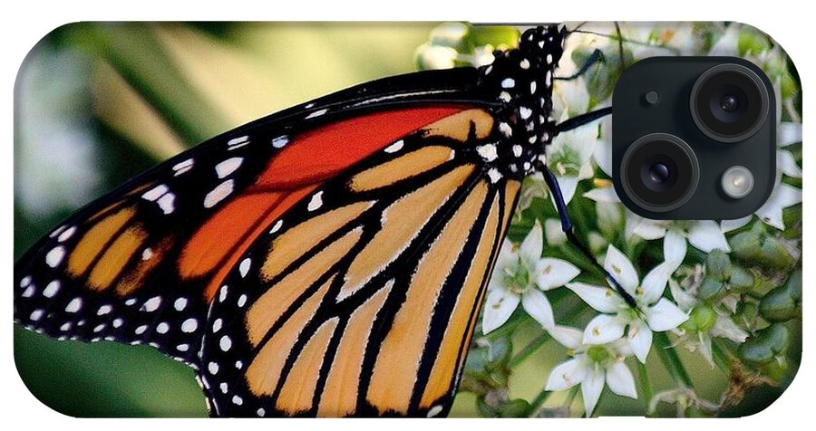 Butterfly iPhone Case featuring the photograph Monarch Butterfly by Veronica Batterson