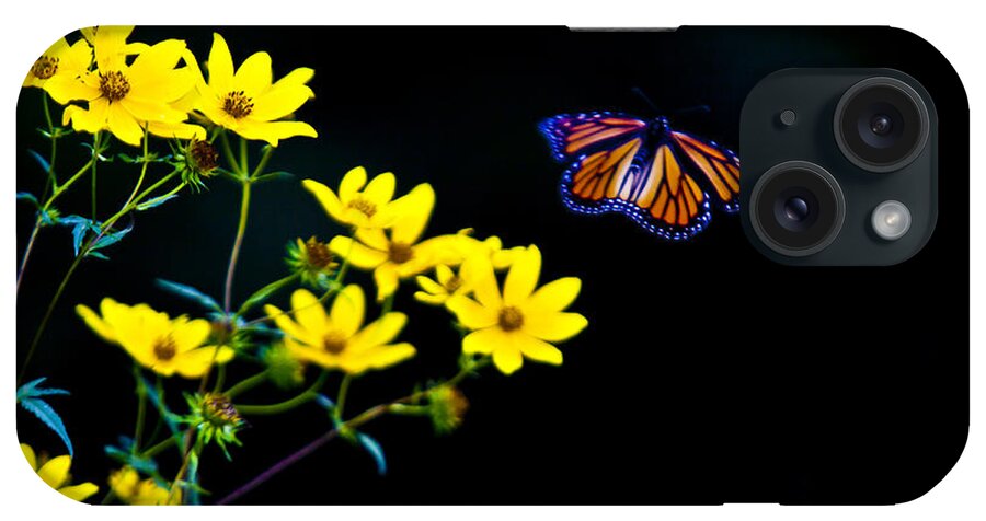Background iPhone Case featuring the photograph Monarch Golden Light by Jack R Perry