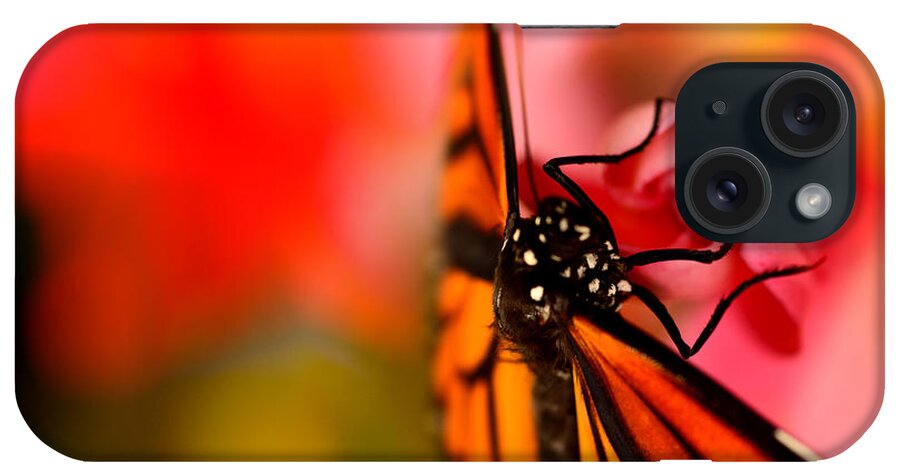Flower iPhone Case featuring the photograph Monarch Morning by Susan Moody