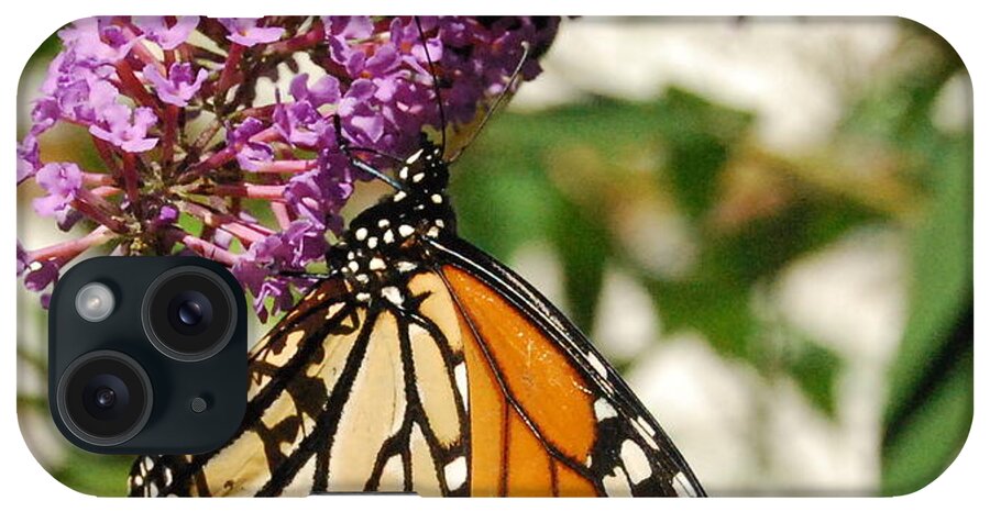 Monarch Butterfly iPhone Case featuring the photograph Monarch Visits New England by Eunice Miller