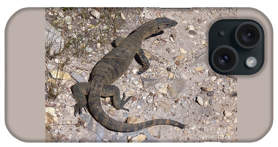 Australia iPhone Case featuring the photograph Monitor Lizard - Western Australia by Phil Banks