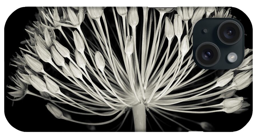 Black Color iPhone Case featuring the photograph Monochrome Allium Flower Head by Ogphoto