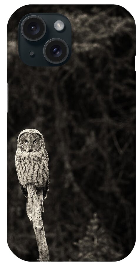 Great Gray Owl iPhone Case featuring the photograph Monochrome Great Gray Owl by Max Waugh