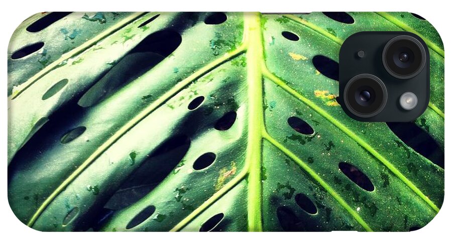 Monstera iPhone Case featuring the photograph Monstera Leaf by Eric Suchman