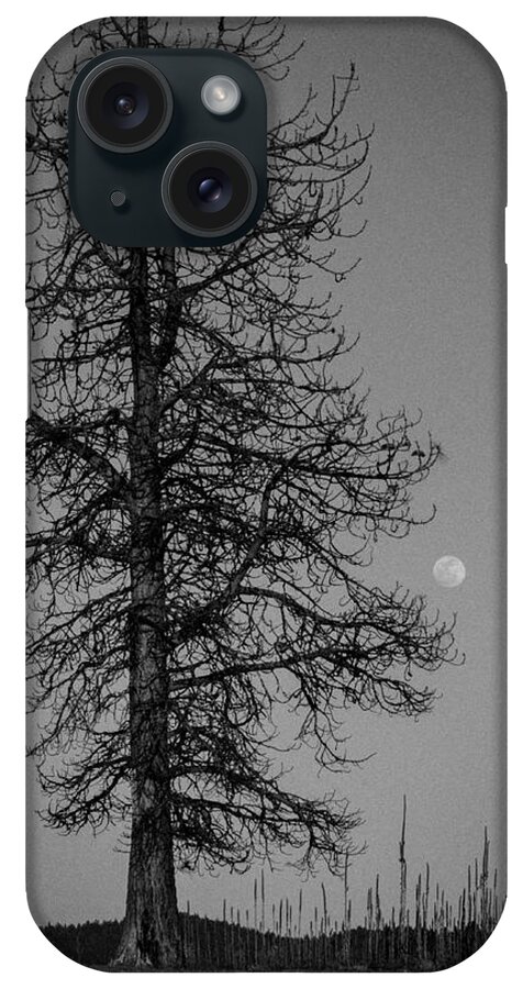 2014 iPhone Case featuring the photograph Moon Tree by Jan Davies