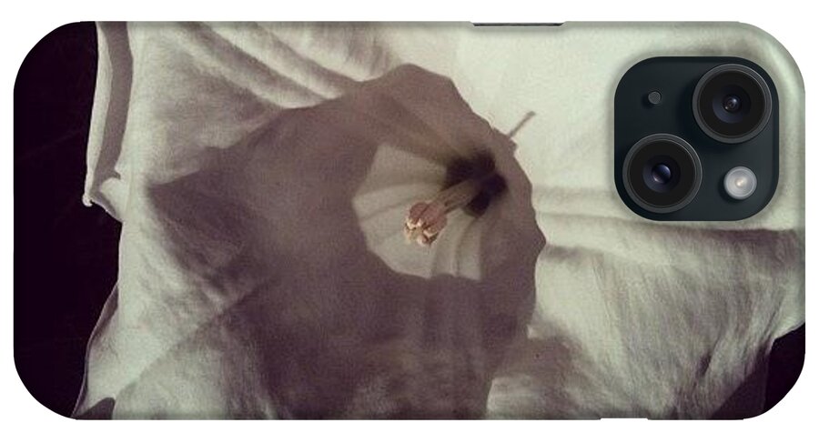 Wildlife iPhone Case featuring the photograph Moonflower, You Have To Catch This When by Matt Cook