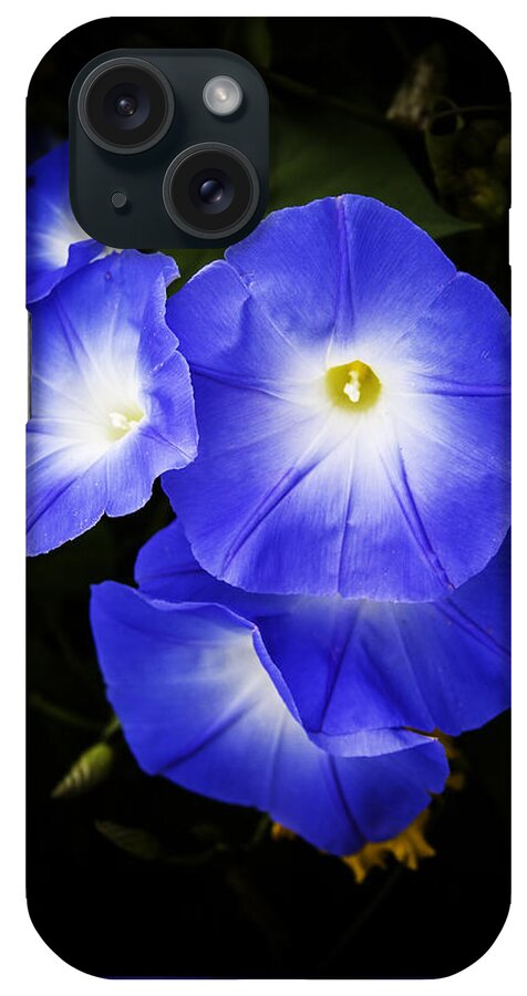 Morning Glory iPhone Case featuring the photograph Moonglow on blue by Jeff Folger