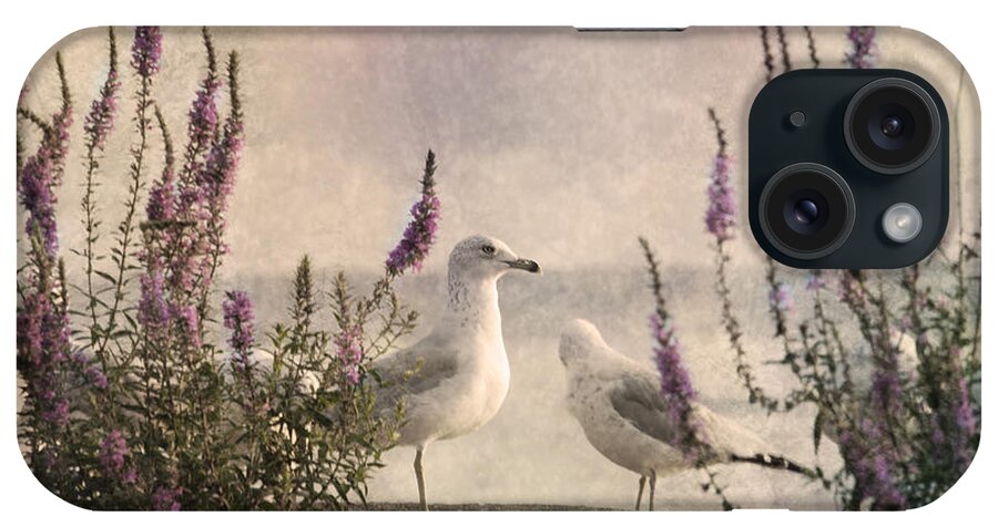 Gulls iPhone Case featuring the photograph Morning Abeyance by Dale Kincaid